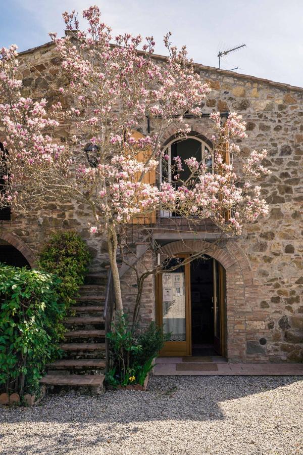La Magnolia Bed and Breakfast Greve in Chianti Eksteriør billede
