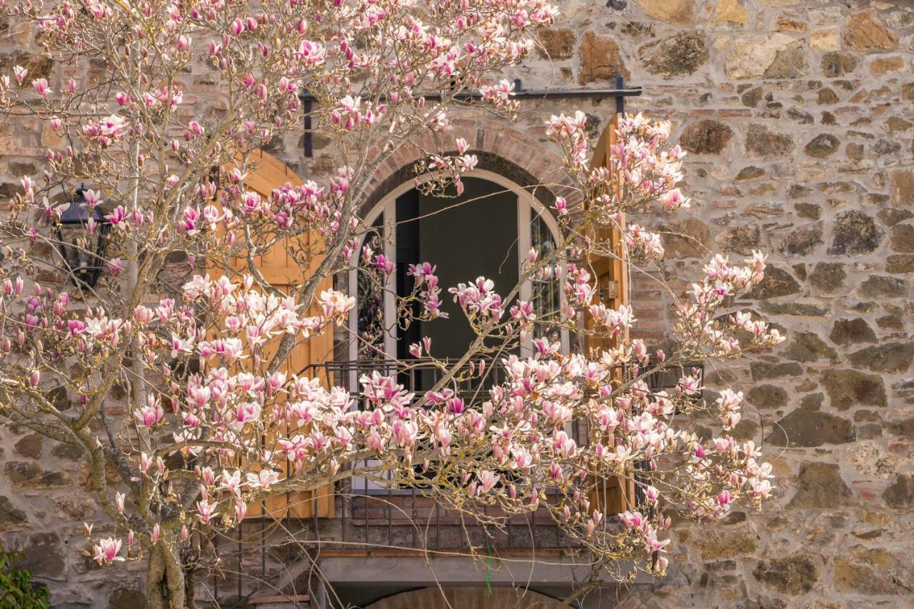 La Magnolia Bed and Breakfast Greve in Chianti Eksteriør billede